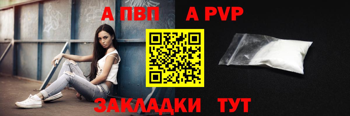 A PVP СК КРИС Нефтекумск