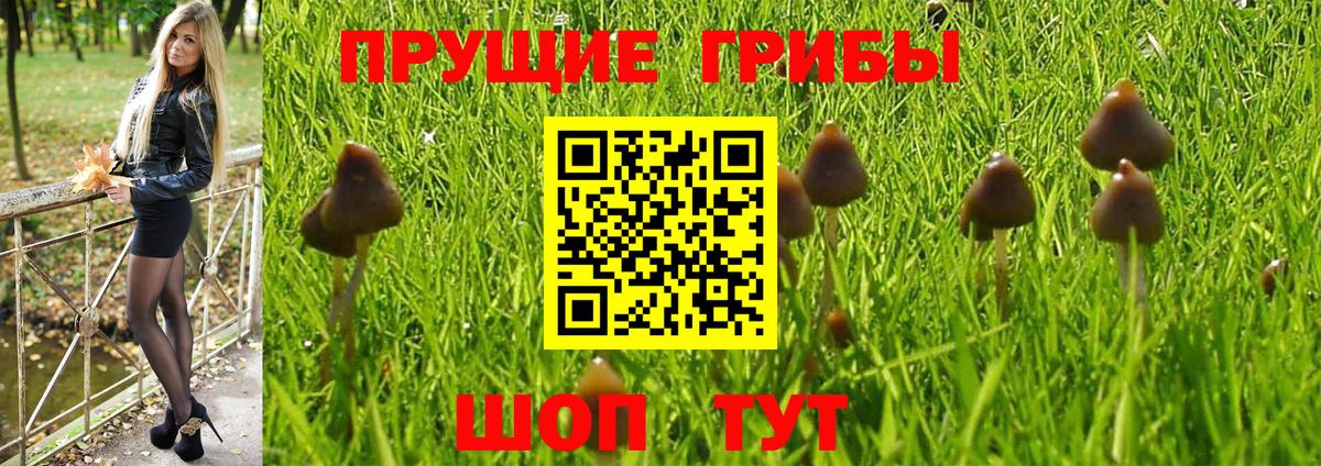 Галлюциногенные грибы ЛСД Нефтекумск