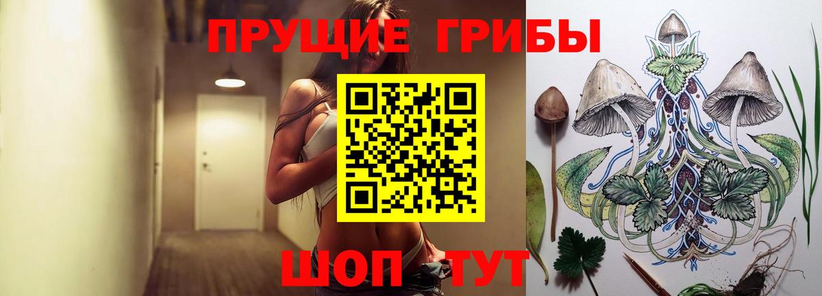 Нефтекумск  Псилоцибиновые грибы прущие грибы  Вход с VPN 
